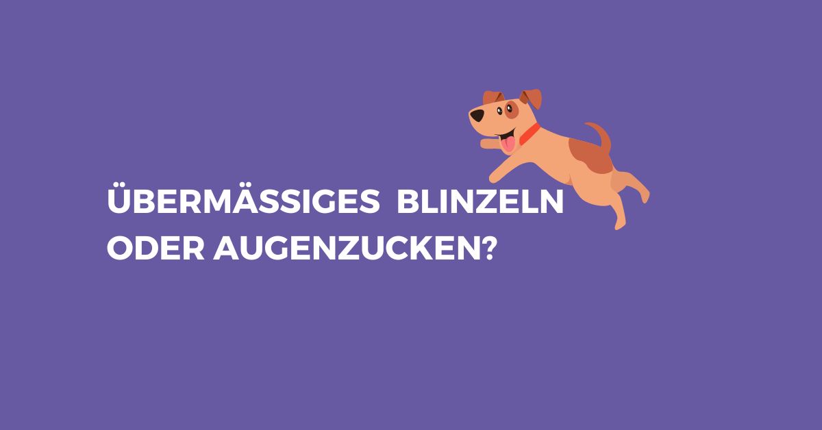 Augenprobleme hunde katzen übermäßiges Blinzeln Kollagen