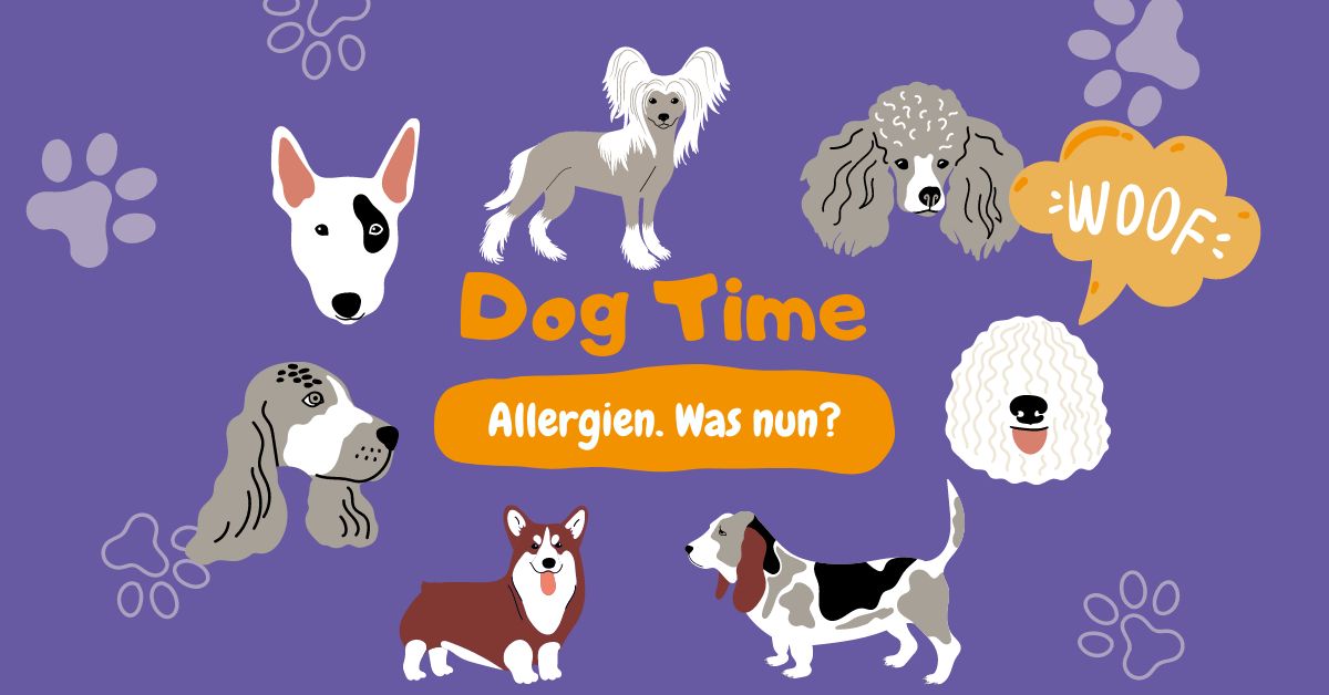 Allergie beim Hund: Ursachen Symptome allegien Lösungsansätze aktivkollagen tanztatze