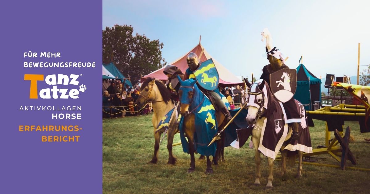 Frax' Weg zurück zur Bestform – dank Aktivkollagen HORSE