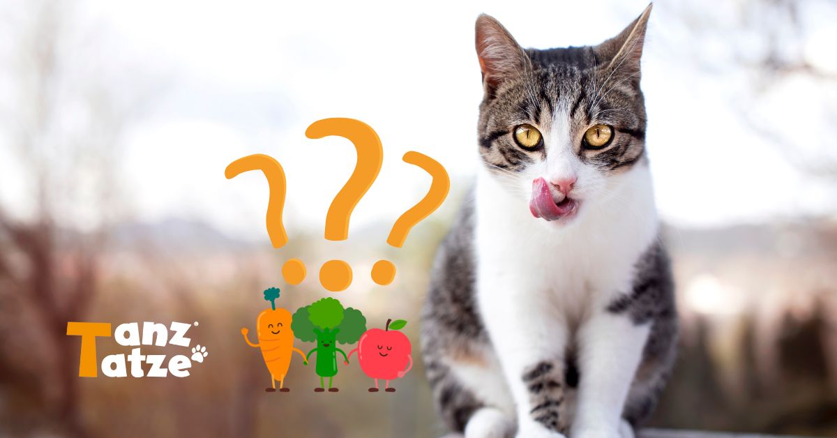 Katze mit Brokkoli karotte und apfel und 3 fragezeichen