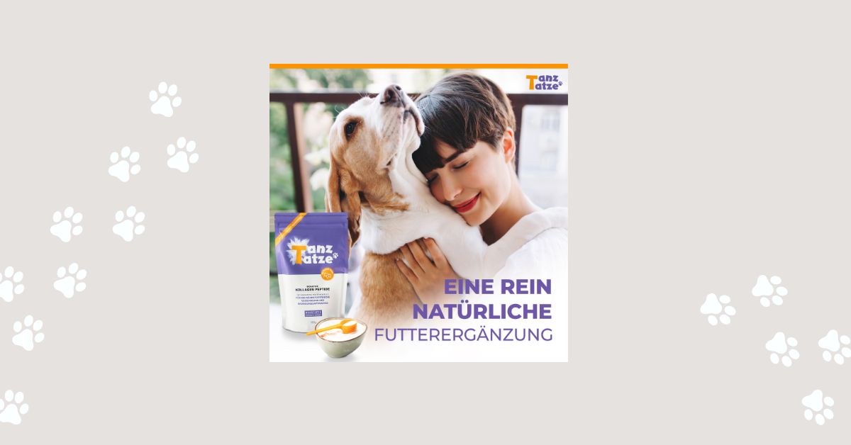 Kollagenpulver Tiere, Gelenkpulver Hund, Kollagen Ergänzung Haustiere.