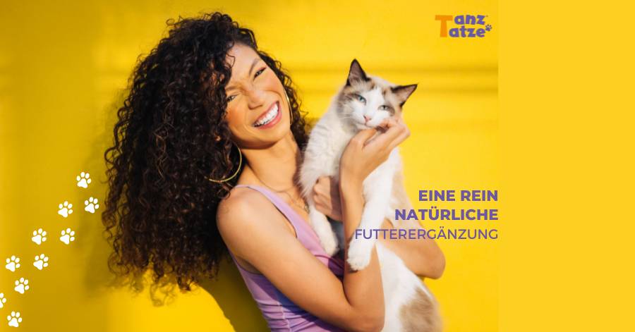 Die Vorteile von Kollagenpeptiden für Katzen