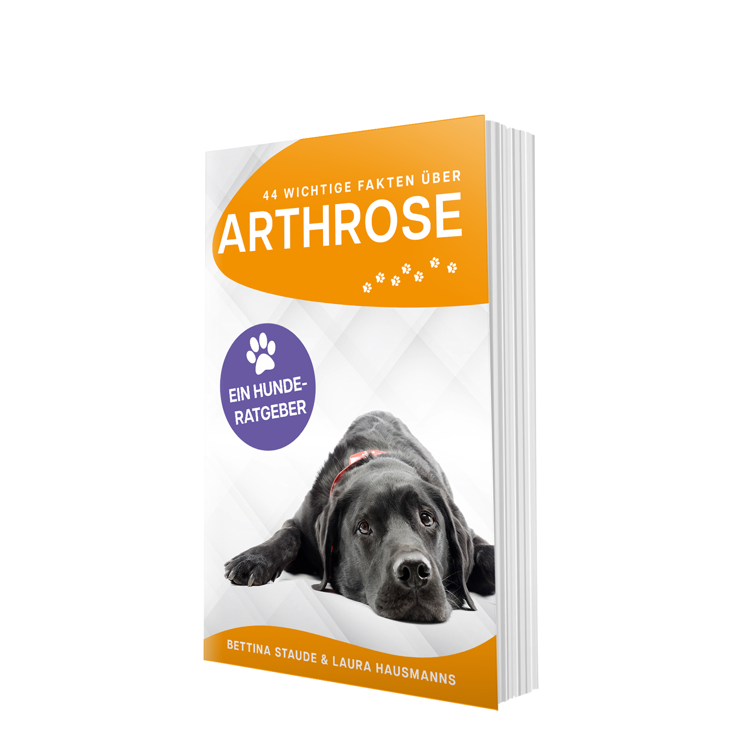 Set - HUNDERATGEBER und das HUNDETAGEBUCH: Arthrose im Griff
