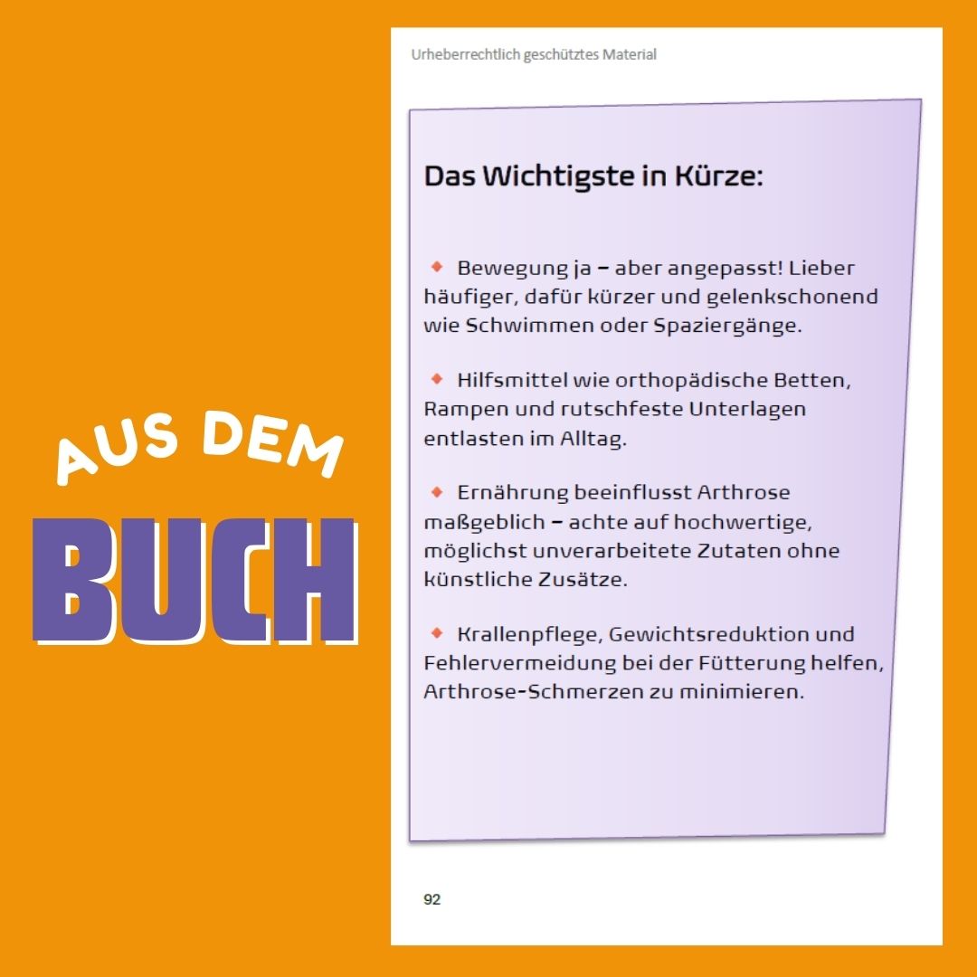 44 wichtige Fakten über Arthrose – Ein Hunderatgeber