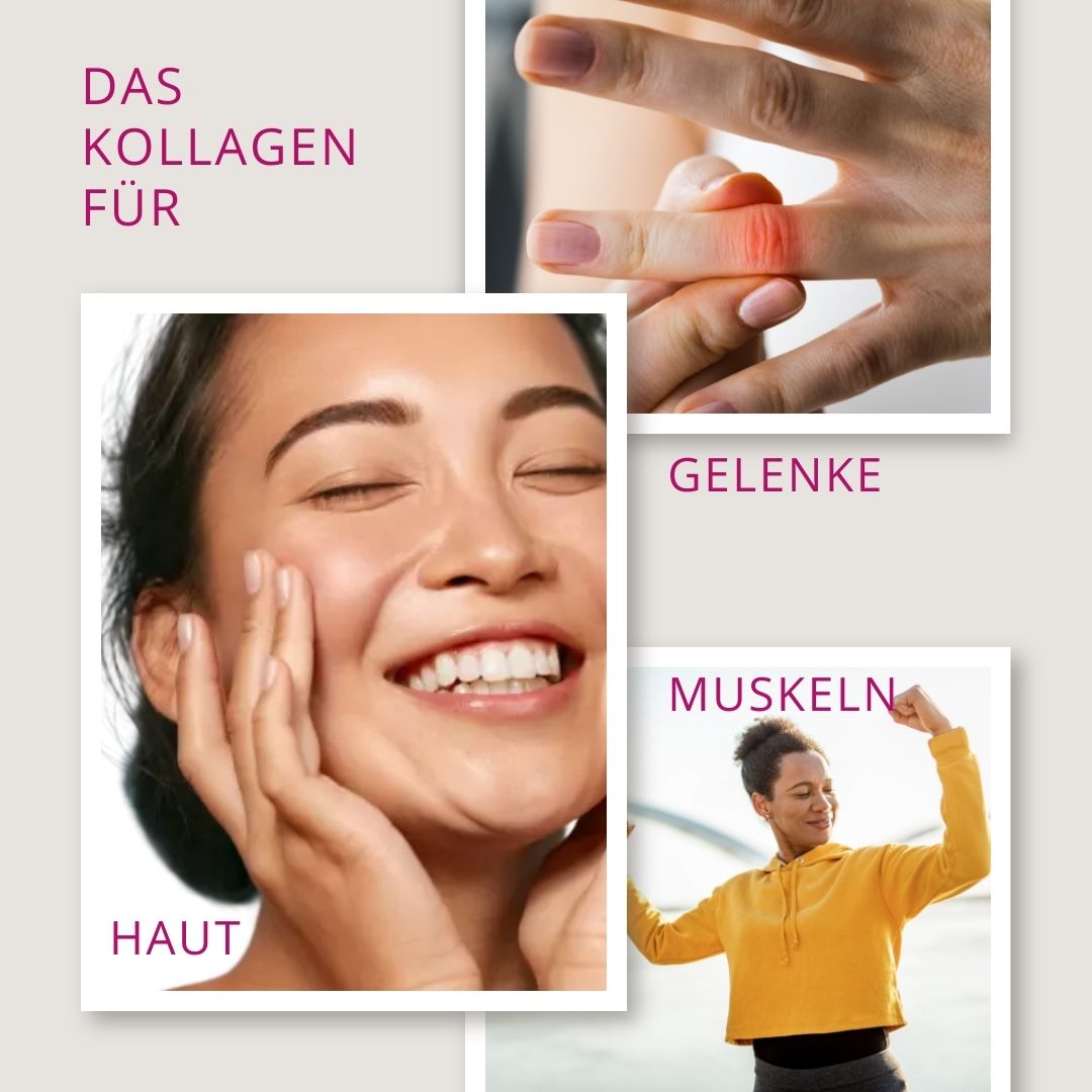 Premium Vitalkollagen für Haut, Gelenke und Muskeln - 3 x 300 g Pulver