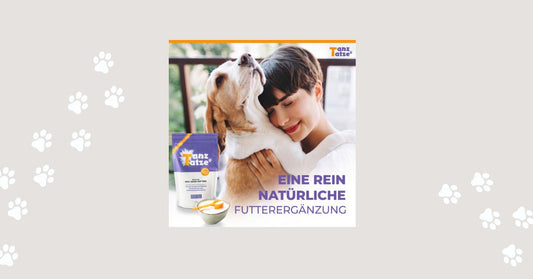  Kollagenpulver Tiere, Gelenkpulver Hund, Kollagen Ergänzung Haustiere.