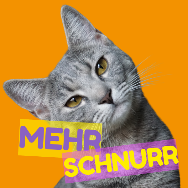 Katze