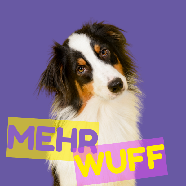 Hund