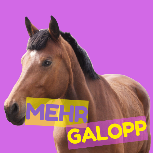 Pferd
