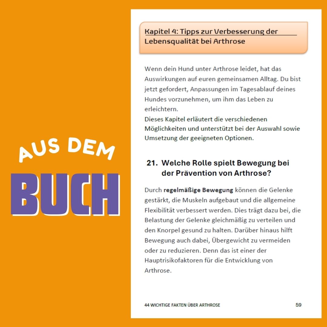 44 wichtige Fakten über Arthrose – Ein Hunderatgeber