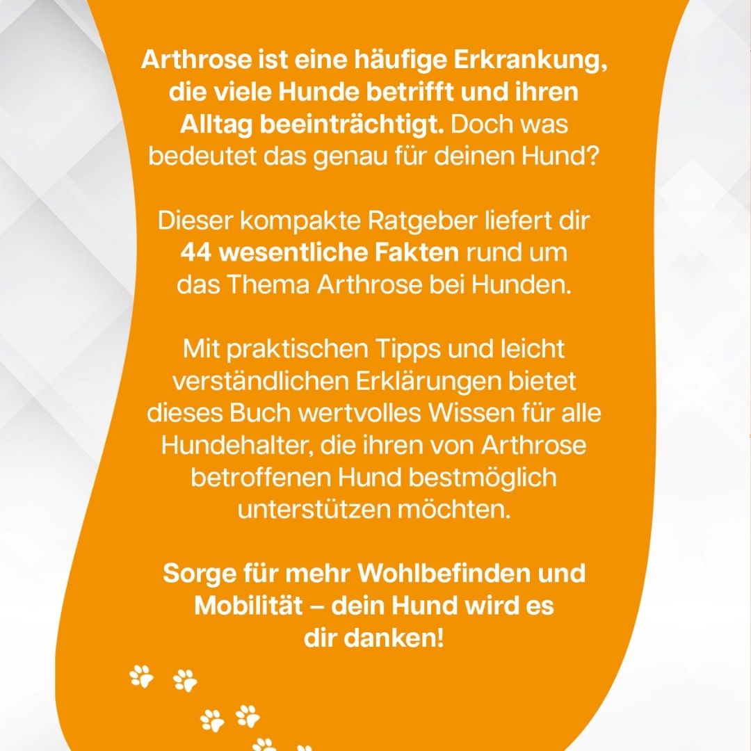 44 wichtige Fakten über Arthrose – Ein Hunderatgeber