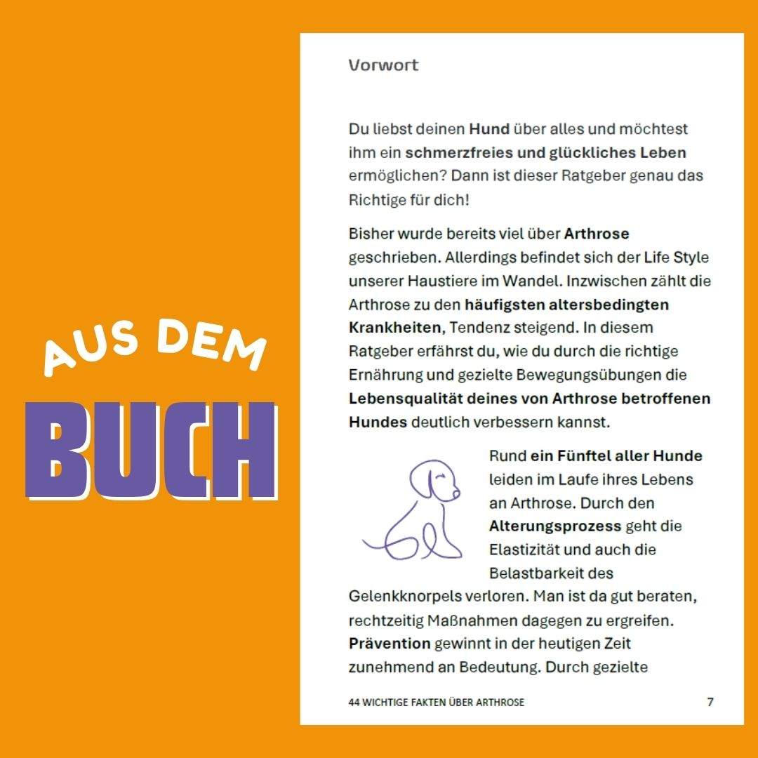44 wichtige Fakten über Arthrose – Ein Hunderatgeber