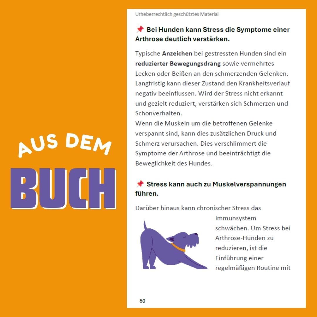 44 wichtige Fakten über Arthrose – Ein Hunderatgeber
